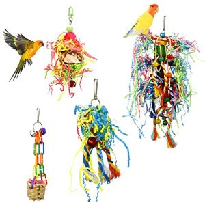 4 Pack Bird Chewing and Foraging Toys