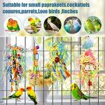 4 Pack Bird Chewing and Foraging Toys