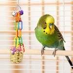 4 Pack Bird Chewing and Foraging Toys