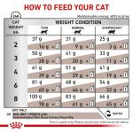 Royal Canin Cat Gastro Intestinal Food 4 Kg