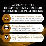 Pro Plan Veterinary Diets NF Wet Cat Food Pouches