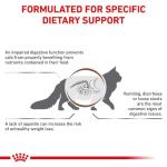 Royal Canin Cat Gastro Intestinal Food 4 Kg