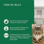 Grain-Free Wet Food for Adult Cats, Fish Flavor