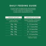 Grain-Free Wet Food for Adult Cats, Fish Flavor