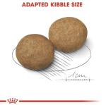 Royal Canin 15kg Medium Breed Dog Food
