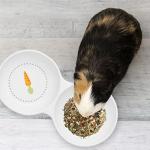 Navaris Ceramic Double Bowl for Small Pets