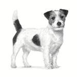 Royal Canin Low Fat Gastrointestinal Food for Small Dogs