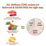 Wellness CORE Small Breed Salmon & Tuna Dog Food