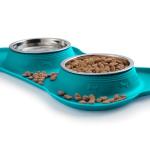 Stainless Steel Dog Bowls with Non-Skid Mat