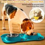 Stainless Steel Dog Bowls with Non-Skid Mat