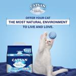 Catsan Cat Litter - 5L Odor Control & Absorption