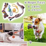 Sundrawy Plush Dog Chew Toys Set - 9 Pack