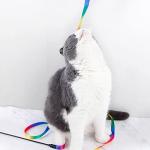 Colorful Cat Teaser Wand Set with Ribbons