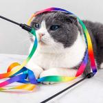 Colorful Cat Teaser Wand Set with Ribbons