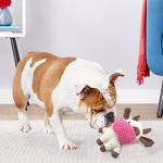 Sundrawy Plush Dog Chew Toys Set - 9 Pack