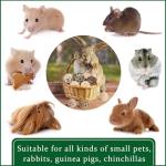 15 Pack Chew Balls for Small Pets