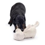 Zappi Co Bear Plush Squeaky Dog Toy