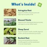 Life Gold Herbal Supplement for Dog Wellness