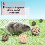 15 Pack Chew Balls for Small Pets