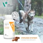 Immune Support Supplement for Dogs and Cats