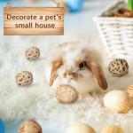15 Pack Chew Balls for Small Pets