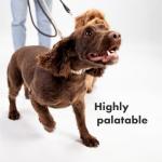 Multifit Dog Multivitamins - Crunchy Joint Support Treats