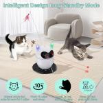 Rechargeable Interactive Rotating Cat Toy with Remote