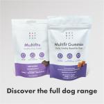 Multifit Dog Multivitamins - Crunchy Joint Support Treats