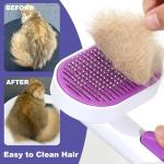 Self-Cleaning Cat and Dog Grooming Brush