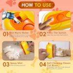 Self-Cleaning Steam Cat Brush with Spray Massage