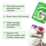 Natural Calming Treats for Stressed Indoor Cats