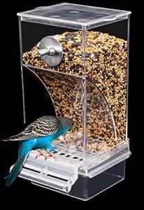 Mess-Free Automatic Bird Feeder for Small Birds