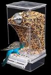 Mess-Free Automatic Bird Feeder for Small Birds