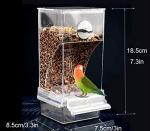 Mess-Free Automatic Bird Feeder for Small Birds