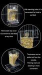 Mess-Free Automatic Bird Feeder for Small Birds