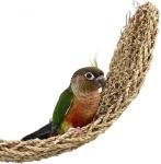 Seagrass Mat for Birds and Small Pets