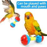 3PCS Parakeet & Conure Toys: Rattles, Bells, Gym