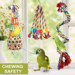 5 Pcs Chew Toys for Budgies and Parrots