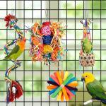 5 Pcs Chew Toys for Budgies and Parrots