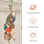 Engaging Beak Grinding Puzzle Toys for Budgies