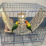 Seagrass Mat for Birds and Small Pets