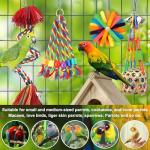 5 Pcs Chew Toys for Budgies and Parrots