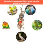 Engaging Beak Grinding Puzzle Toys for Budgies