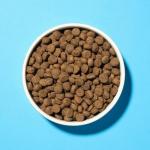 Pooch & Mutt Salmon Sweet Potato Dry Dog Food