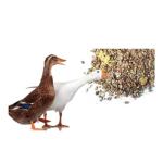 Duck and Goose Premium Seed Mix for Wild Birds