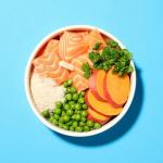 Pooch & Mutt Salmon Sweet Potato Dry Dog Food