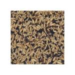 1kg Canary Seed Blend for Happy Birds