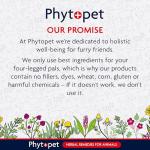 Mullein Complex Herbal Cough Support for Pets