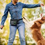 Dog Treat Pouch with Clicker and Poop Dispenser