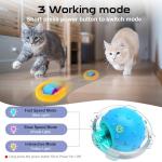 Interactive Automatic Ball Toy for Cats